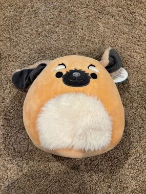 7 in Bobzi the Dog Squishmallow NWT